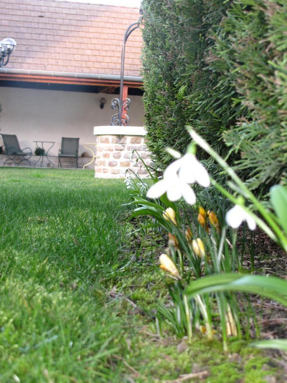 Hotel L'Oree Des Vignes Gilly-lès-Cîteaux Εξωτερικό φωτογραφία