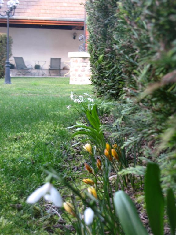 Hotel L'Oree Des Vignes Gilly-lès-Cîteaux Εξωτερικό φωτογραφία